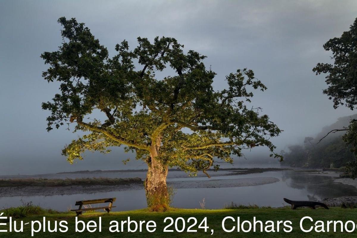 Ty Glazu Doelan Espace 60M2, Port& Criques A Pied, 2 Chambres Privees Au 1Er Etage, Sdb, Wc Separe Clohars-Carnoët Eksteriør bilde
